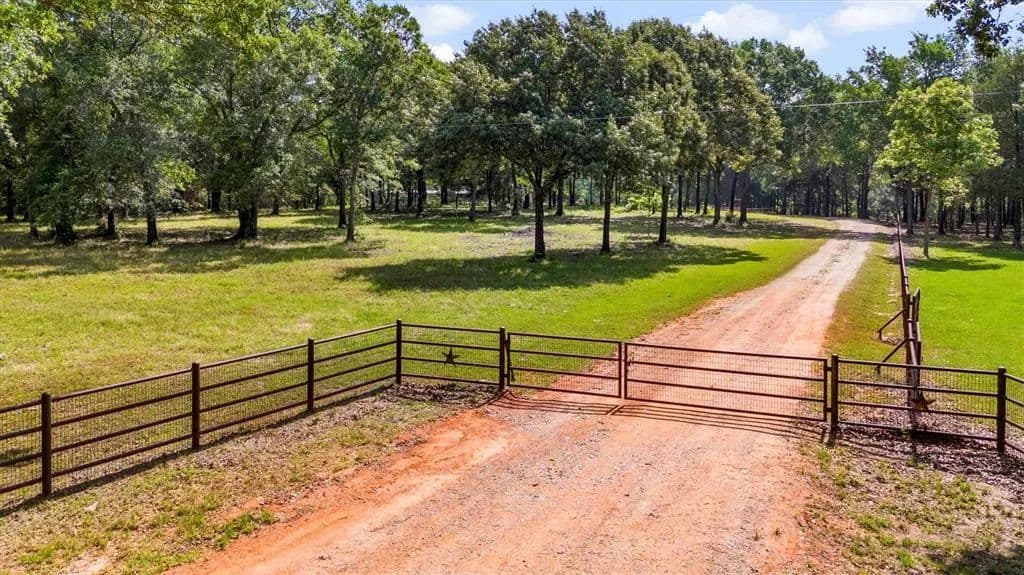 Vacant Land in Ben Wheeler - Ben Wheeler, Texas, 75754