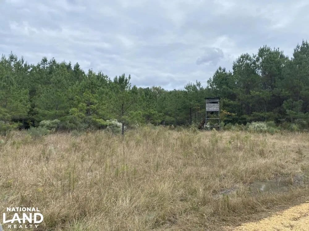 Shabby Tree Tract - Fordyce, Arkansas, 71742