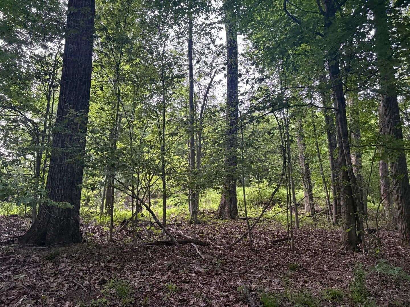 Property from 7C 168 PORTSMOUTH - KW - Dubois, Pennsylvania, 15801