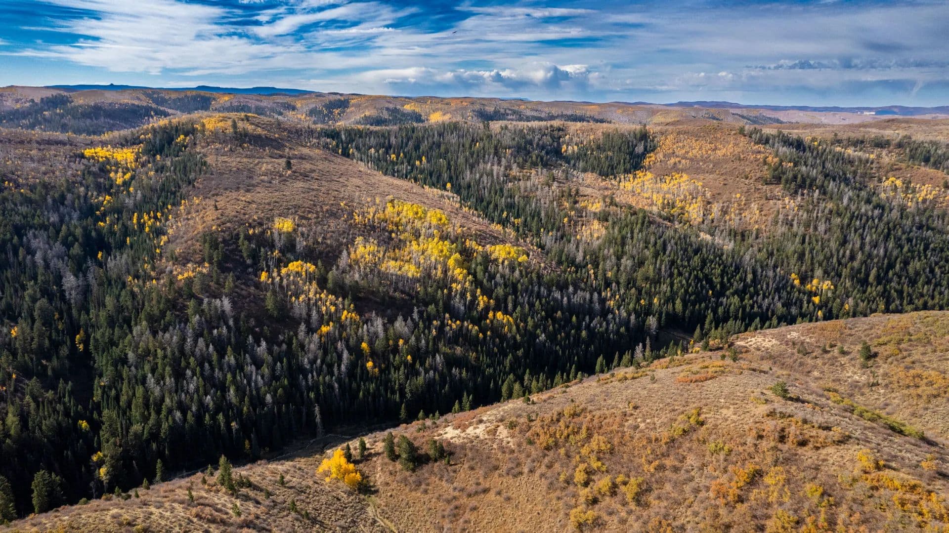 Arrow Rim Ranch - Rifle, Colorado, 81650
