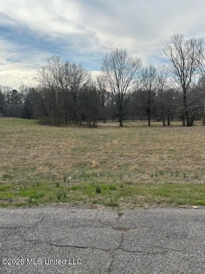 Property from W Alden Lake Dr. - KW - Horn Lake, Mississippi, 38637
