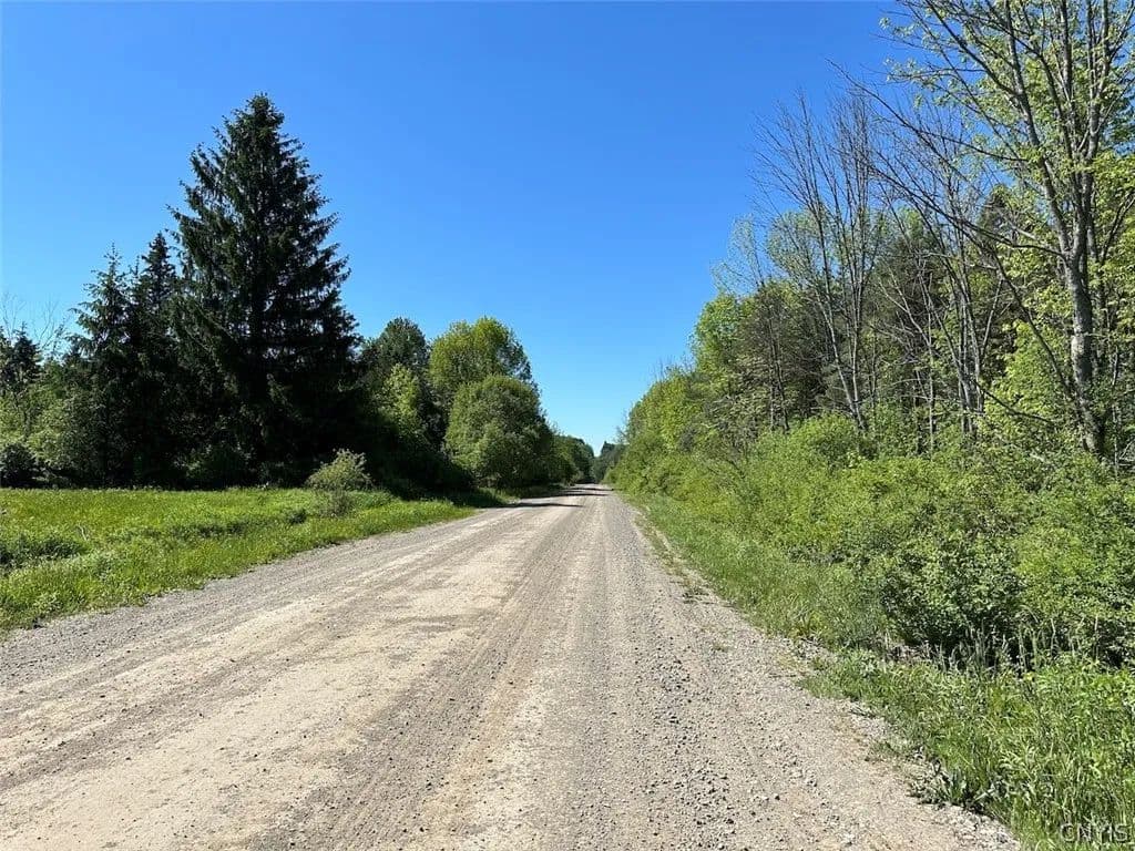 Property from Townline Road - KW - Angelica, New York, 14709