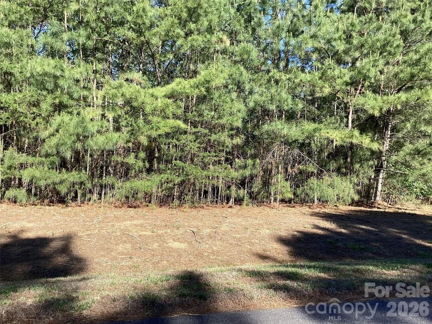 Property from 307 Twin Cove Drive #125 - KW - Connelly Springs, North Carolina, 28612