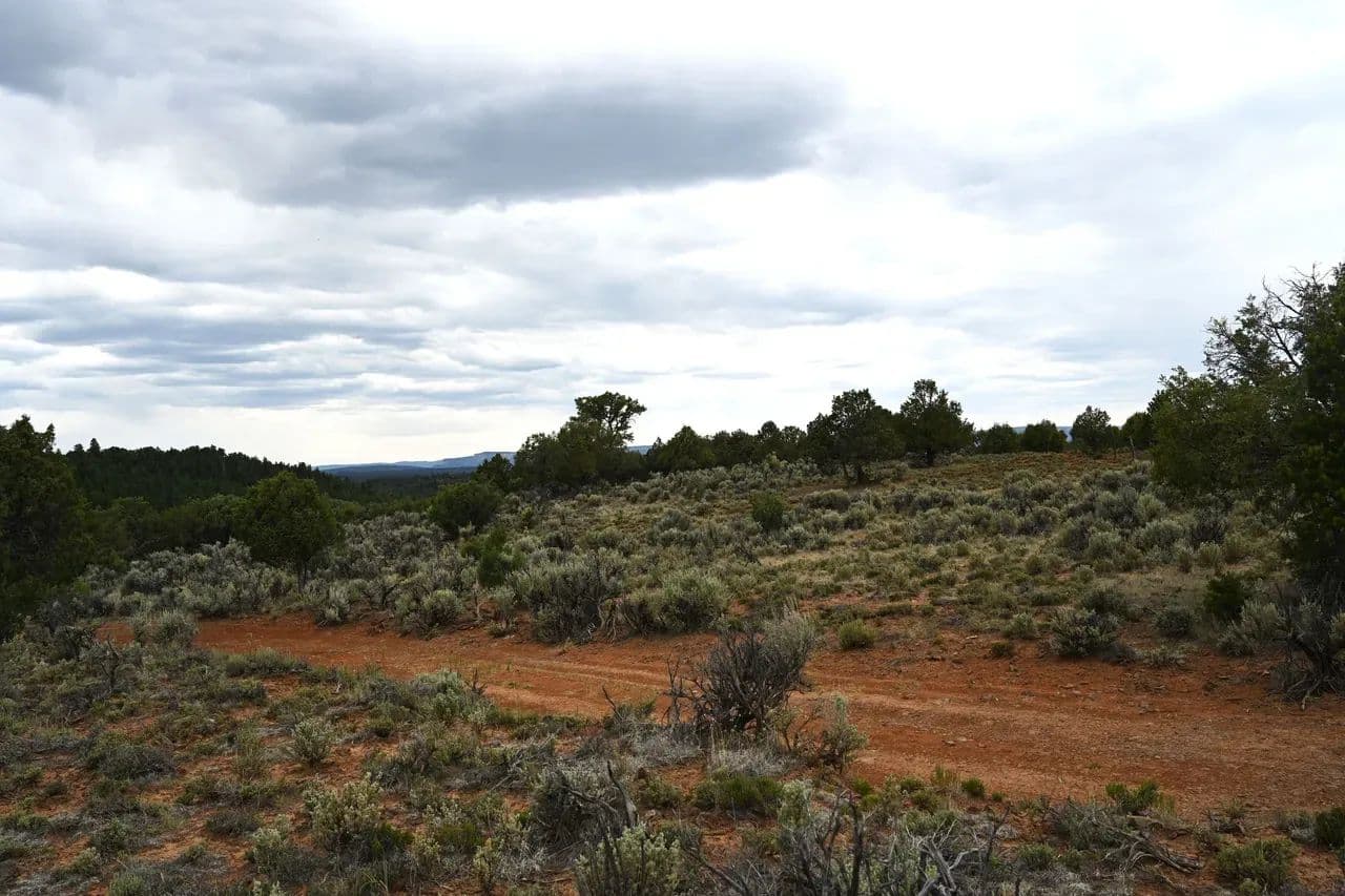TA 120 - Tierra Amarilla, New Mexico, 87575