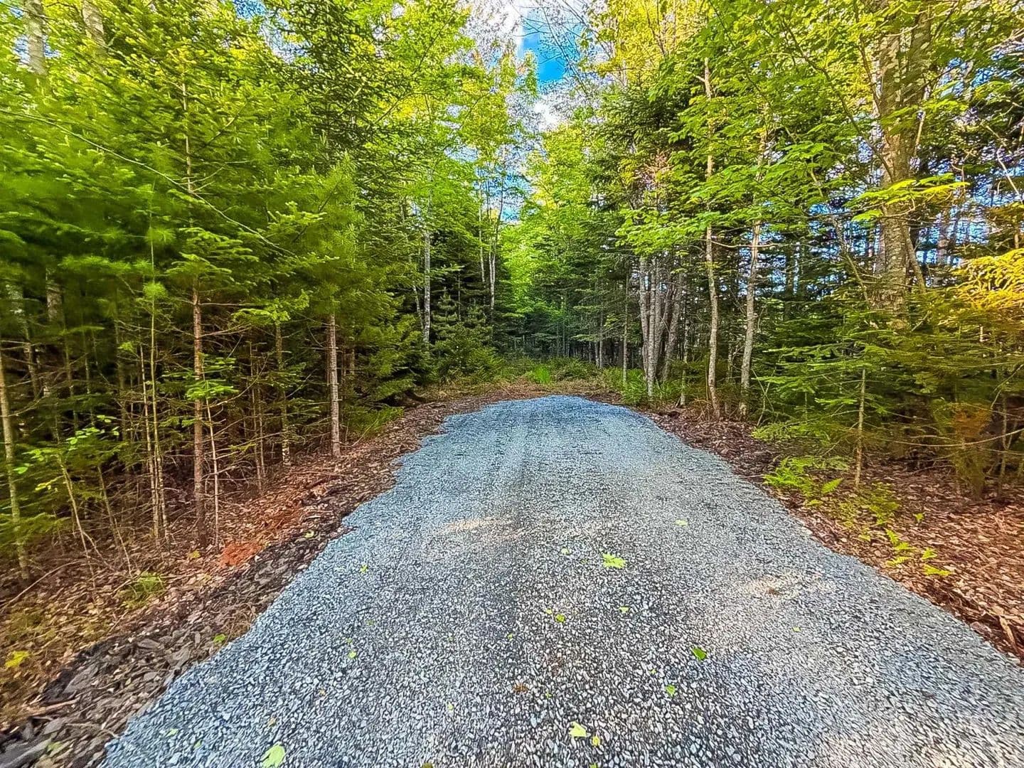 15 Acres of Land for Sale in Rhodes Corner, (Pid 60242856) Mullock Road #Lot - Canada
