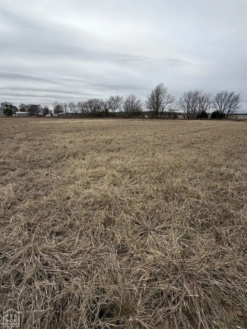 Vacant Land in Walnut Ridge
