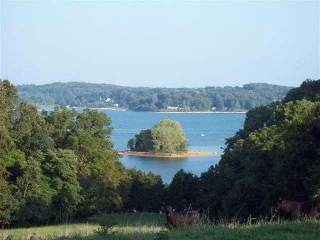 Property from 254 Alberts Cove Cove - KW - Rutledge, Tennessee, 37861