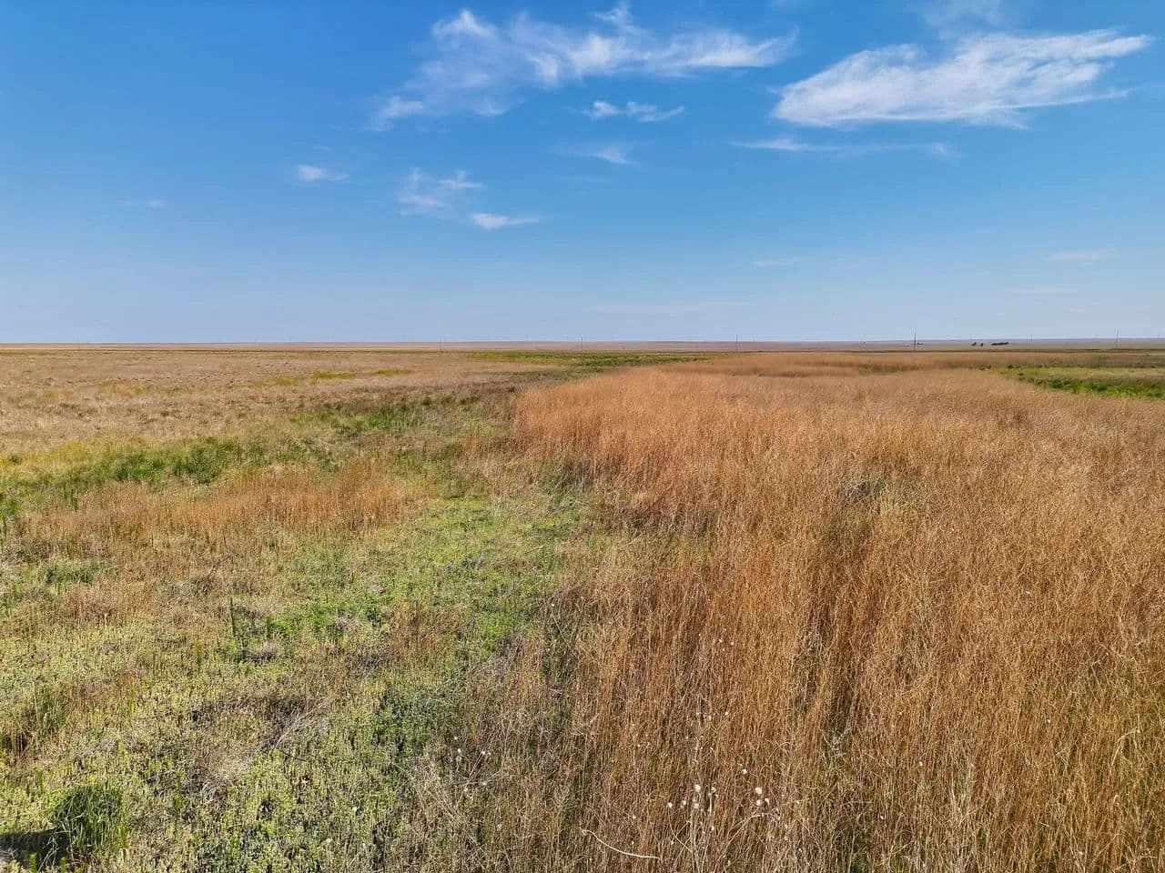 Section of CRP with Newly Accepted Contract - Eads, Colorado, 81036