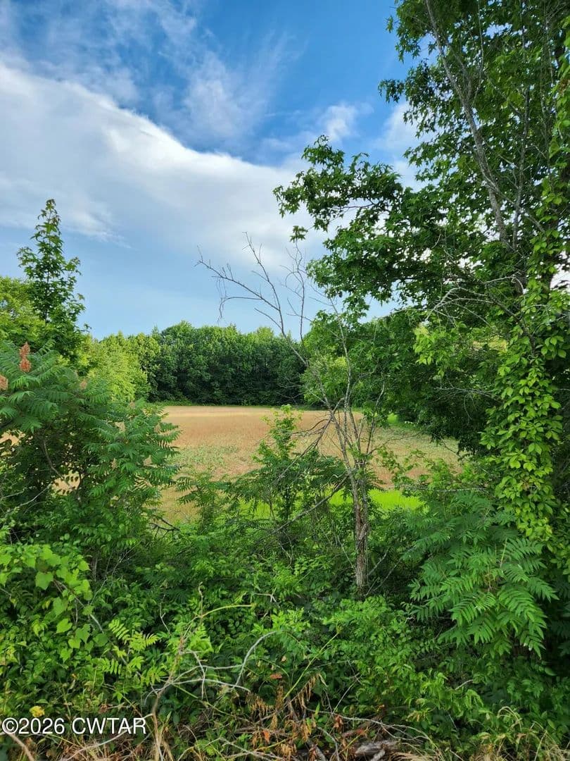 Lots & Land-Other in Brownsville - Brownsville, Tennessee, 38012
