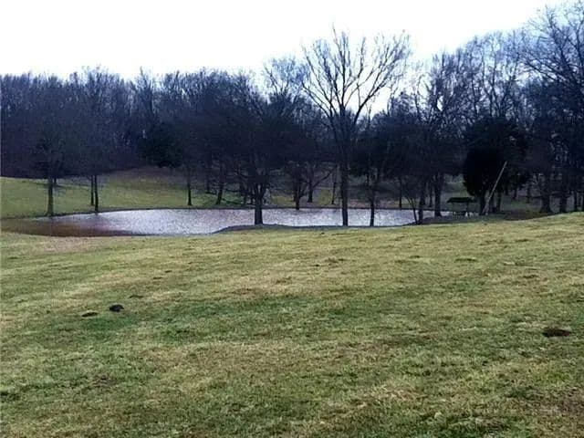 Auction Notice !!! 32 Acres / 2 Tracts