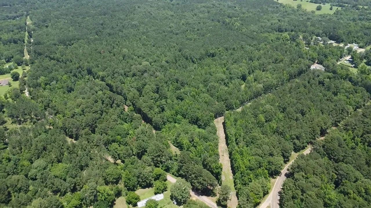 32 Acres of Land for Sale in Jefferson, Texas - Jefferson, Texas, 75657