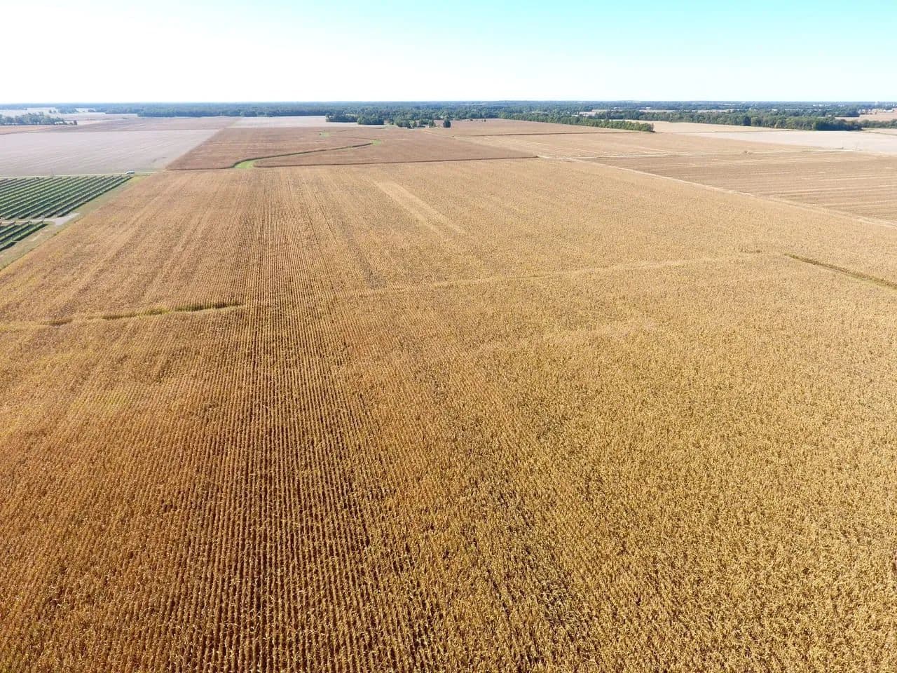 41 Acres- Clay County, IL - Louisville, Illinois, 62858