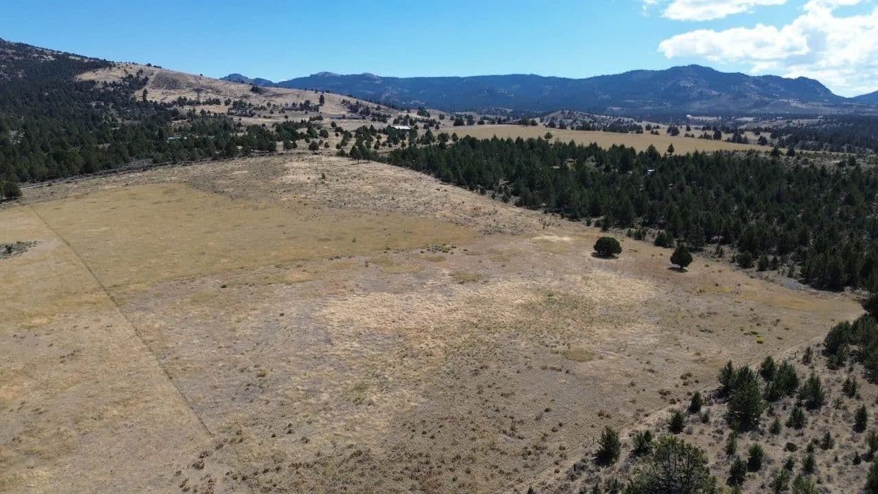 Warner Mountain - Alturas, California, 96101