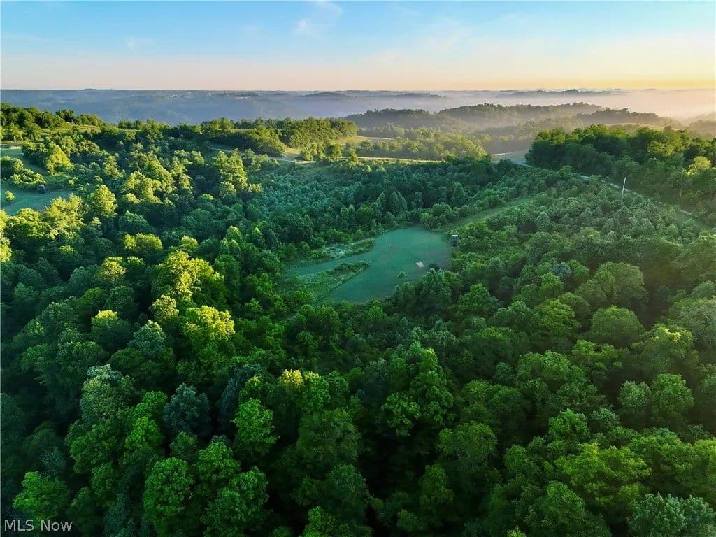 79.48 Acres of Land for Sale in Clarington, Ohio - Clarington, Ohio, 43915