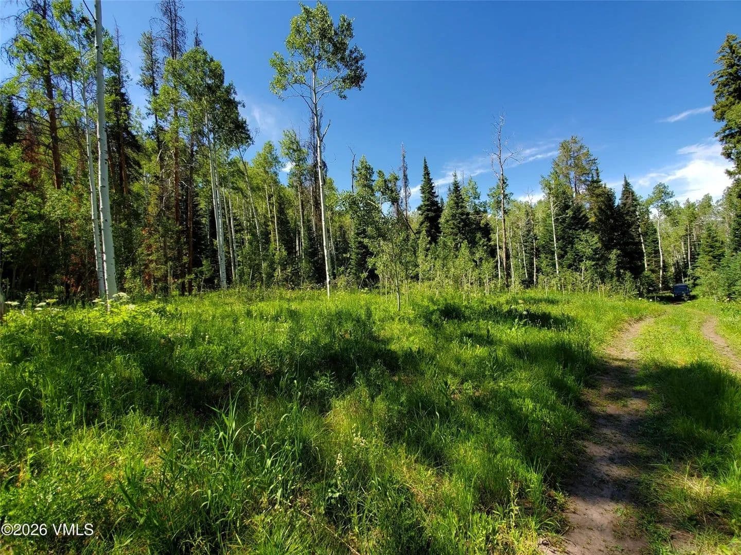 1 Acre of Land for Sale in Oak Creek, CO - Oak Creek, Colorado, 80467