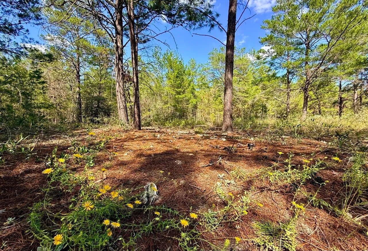 Vacant Land in DeFuniak Springs - Defuniak Springs, Florida, 32433