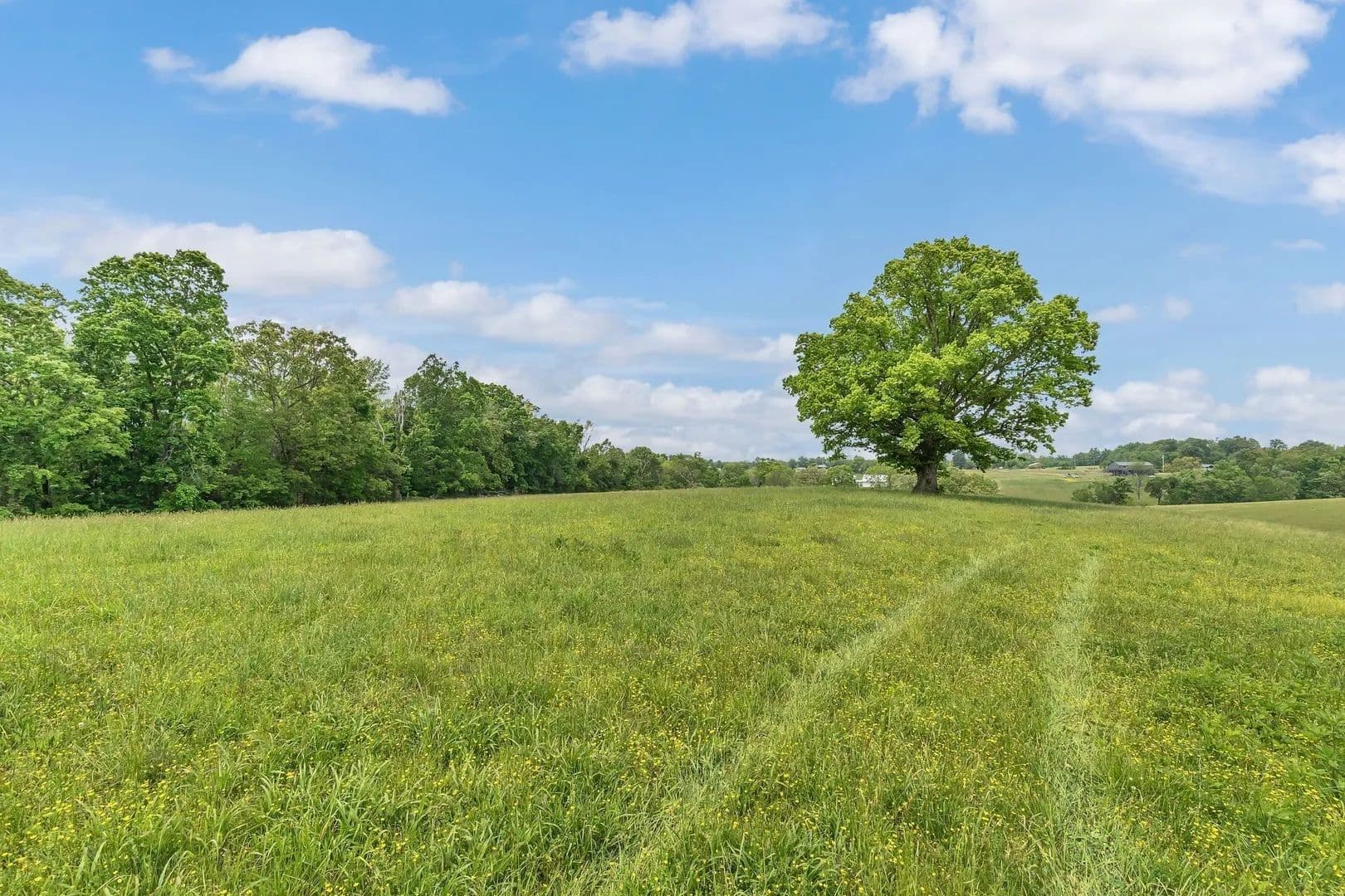 18 Acres of Land for Sale in Westmoreland, Tennessee - Westmoreland, Tennessee, 37186
