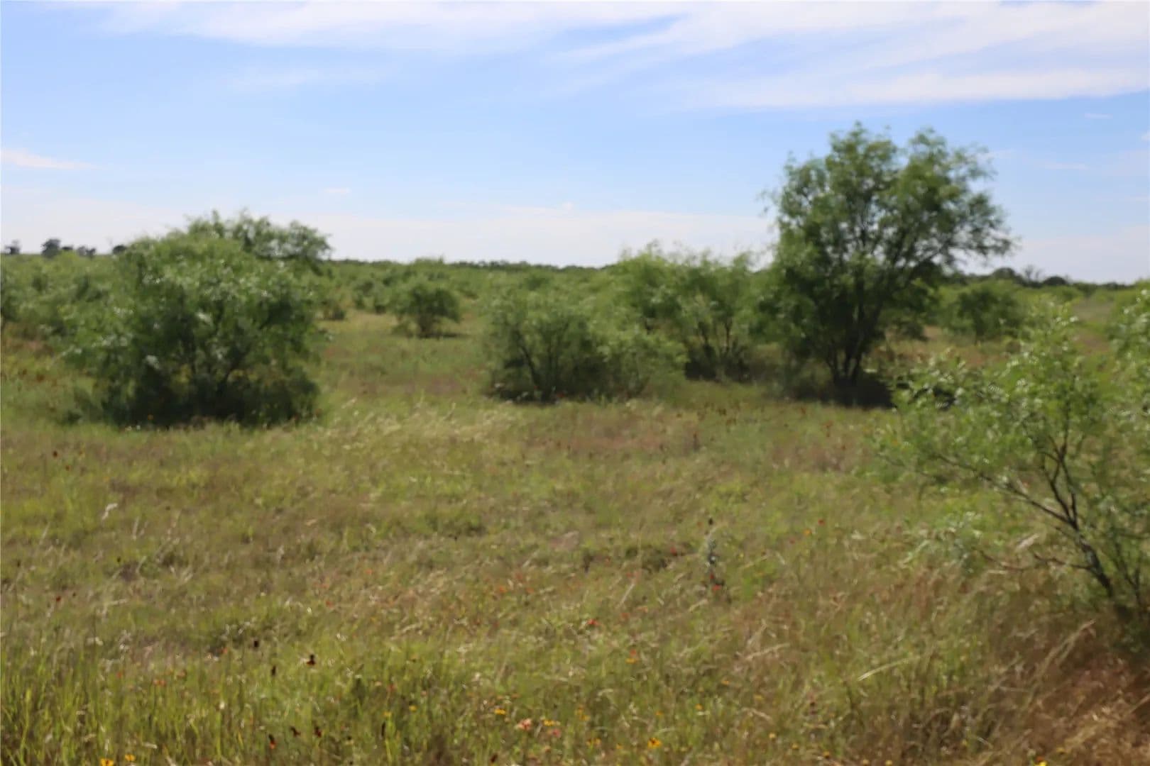 42.93 Acres of Land for Sale in Rising Star, Texas - Rising Star, Texas, 76471