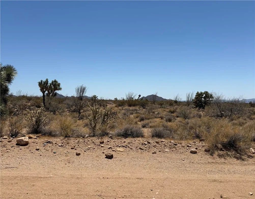 Vacant Land in Yucca - Yucca, Arizona, 86438