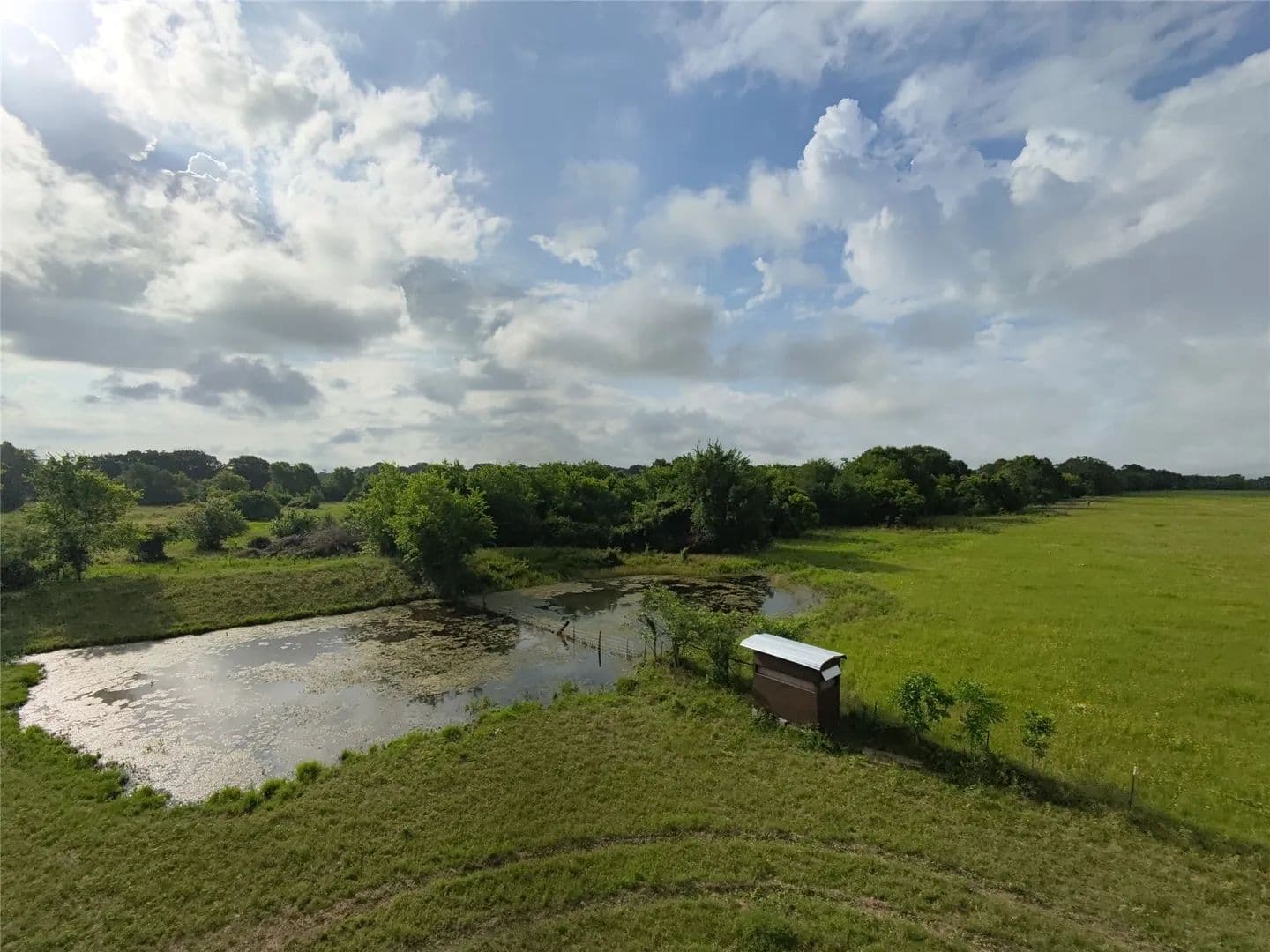 Property from 415 Veterans Memorial Drive - KW - Navasota, Texas, 77868