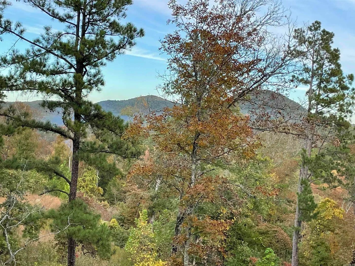 Property from 850 Jones Cemetery Road - KW - Calico Rock, Arkansas, 72519