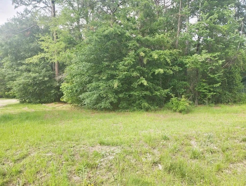 Vacant Land in Sylvester - land for sale
