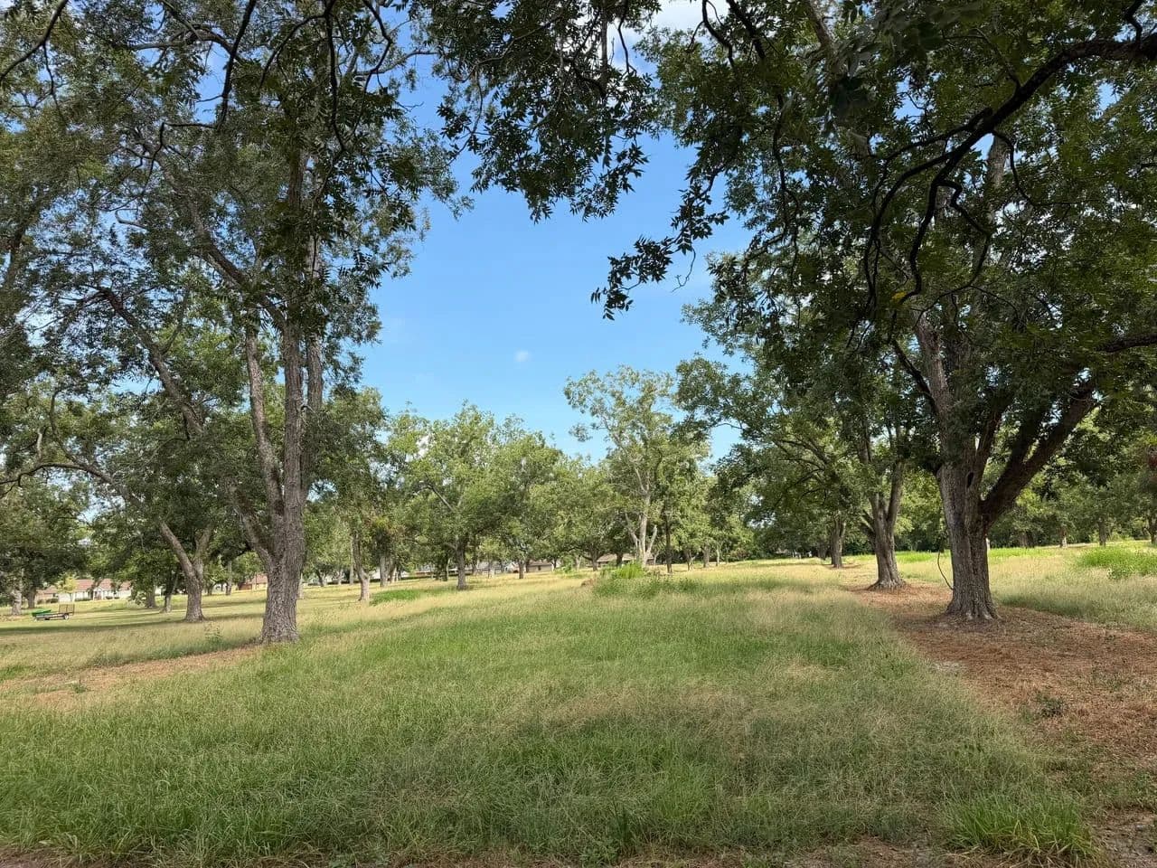 2.08 Acres Homesite on Bland Rd (Tract 2) - land for sale