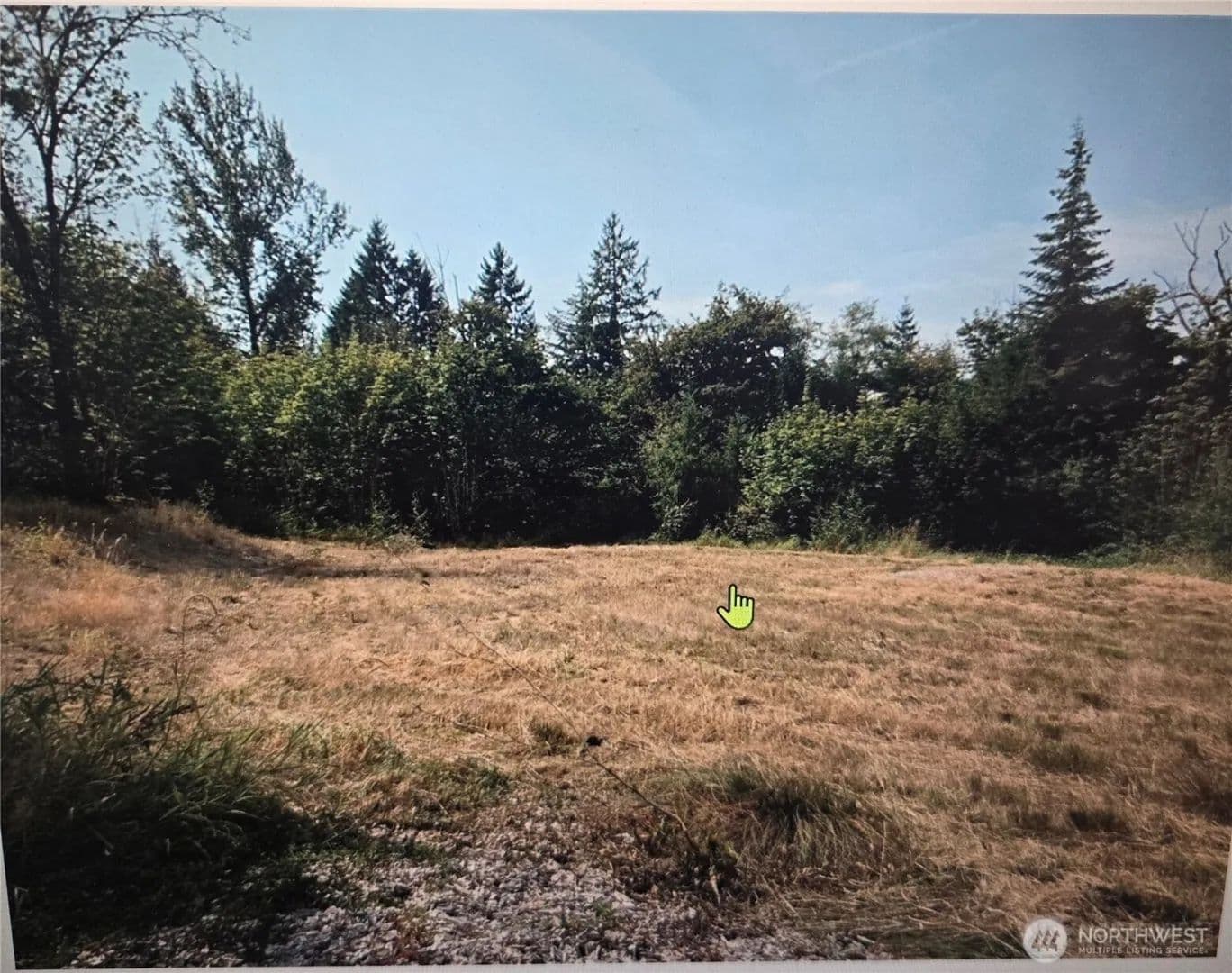 Land -Single Family Acreage in Toledo - Toledo, Washington, 98591