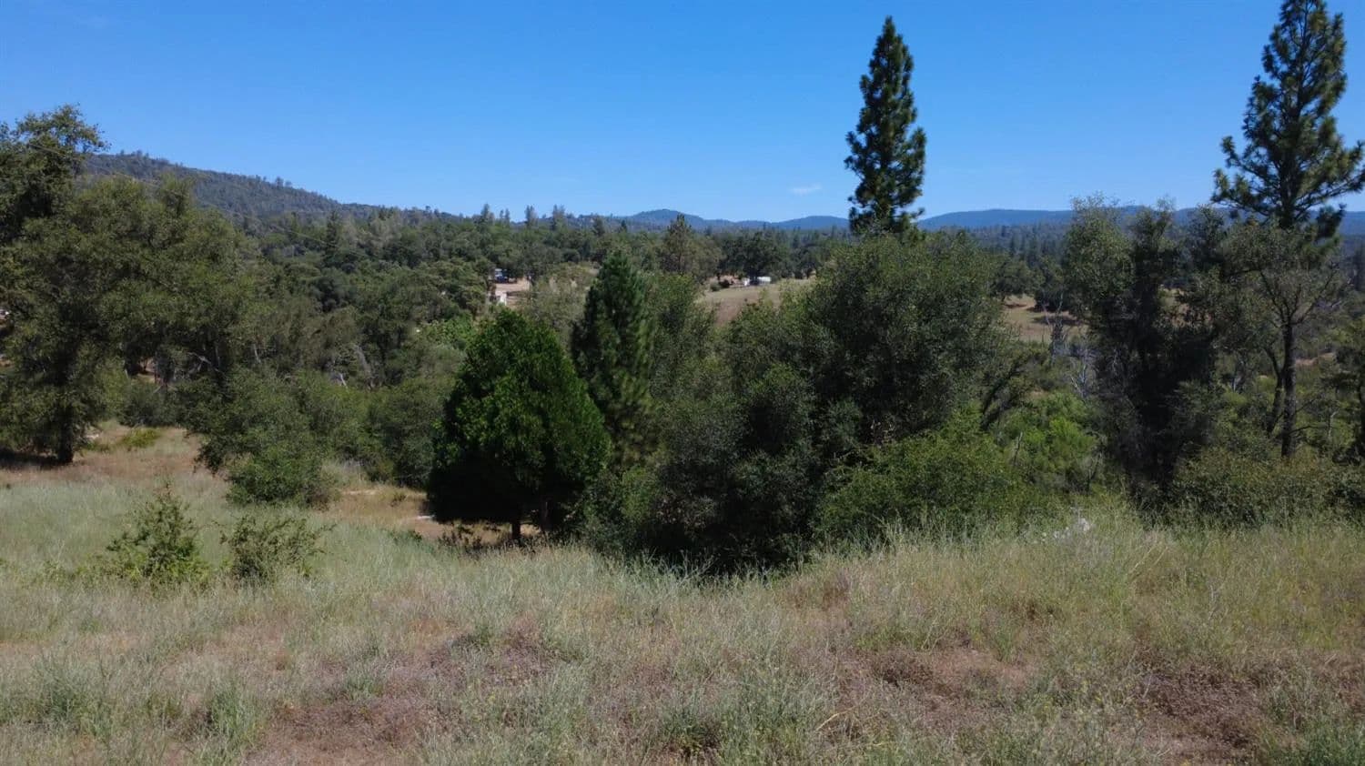 3.8 Acres of Land for Sale in Bangor, CA - Bangor, California, 95914