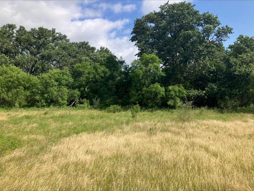 Property from 4605 W Ranch Rd 1222 - KW - Mason, Texas, 76856