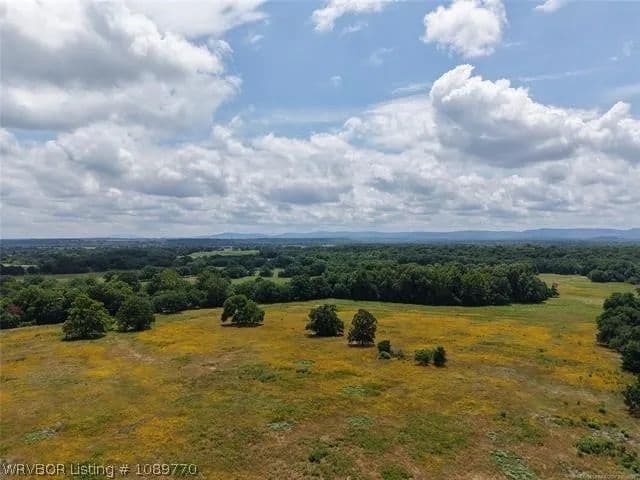 160 Acres of Land for Sale in Stigler, Oklahoma - Stigler, Oklahoma, 74462