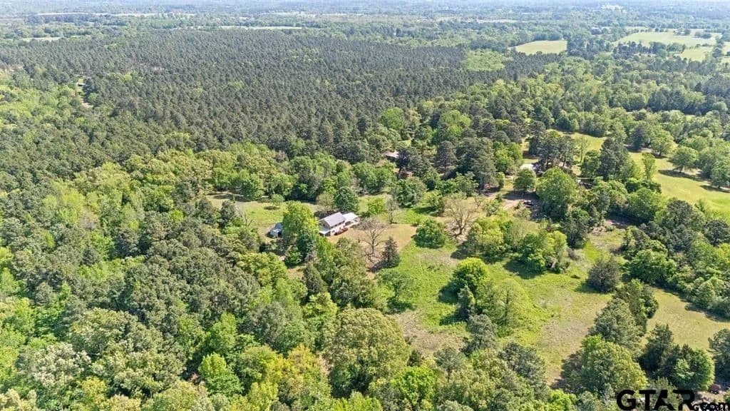 17.13 Acres of Land for Sale in Jacksonville, Texas - Jacksonville, Texas, 75766
