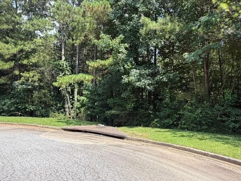 3.05 Acres of Land for Sale in Atlanta, GA - Atlanta, Georgia, 30331