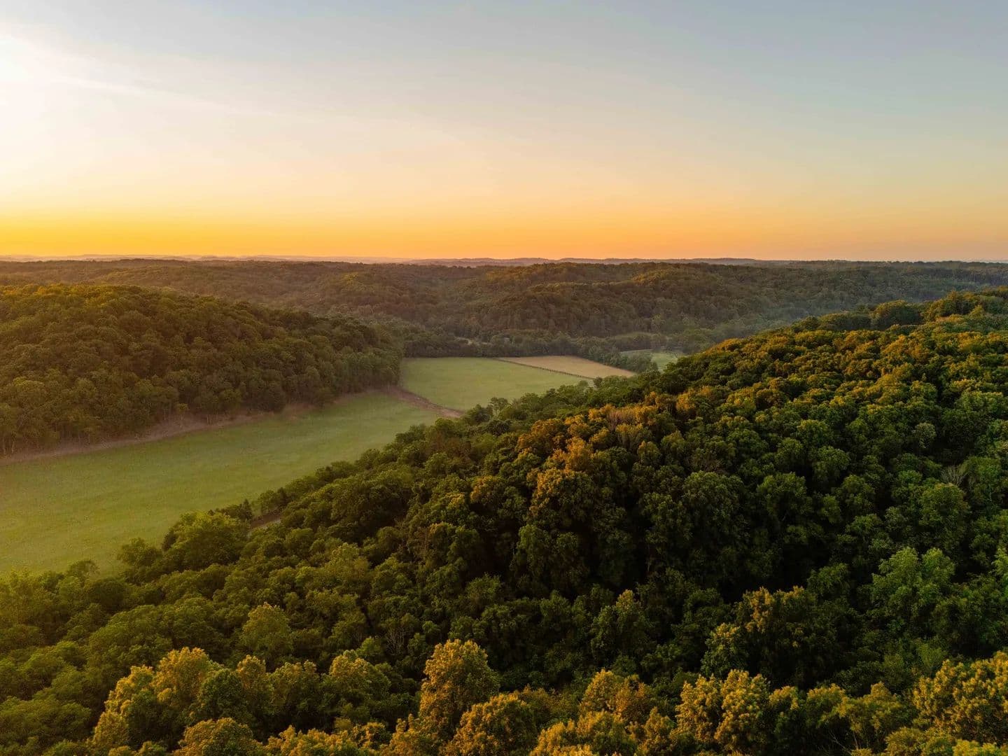154.11 Acres of Land for Sale in Thompsons Station, TN - Thompsons Station, Tennessee, 37179