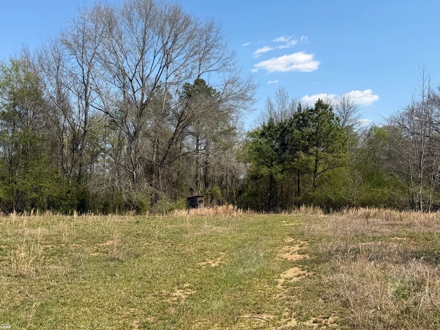 Hubbertville Highway 129 Hunting Tract - Hubbertville, Alabama, 35594