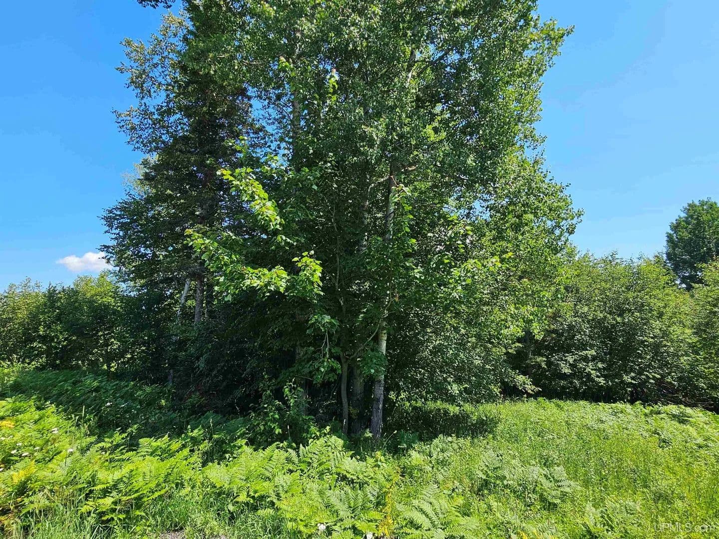 Vacant Land in Houghton - land for sale