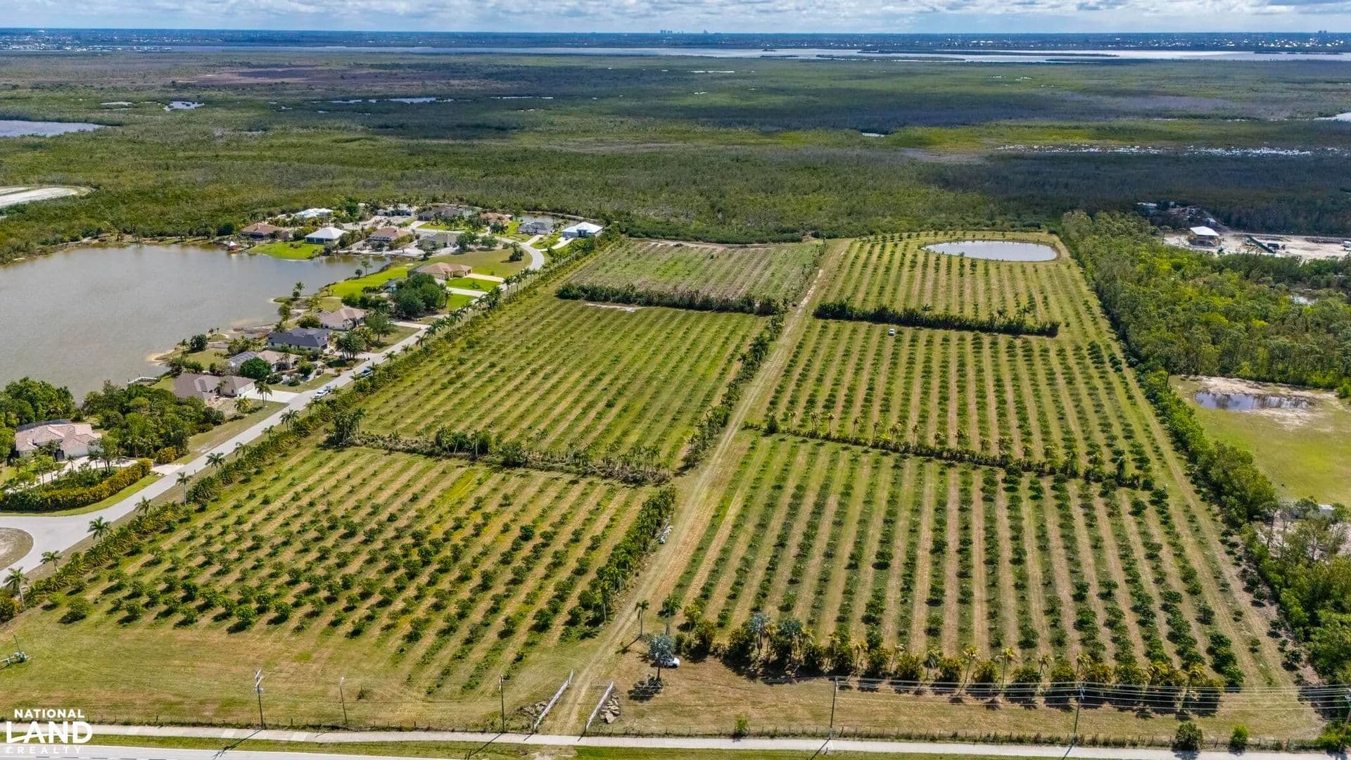 Pine Island Mango Grove Investment - Saint James City, Florida, 33956