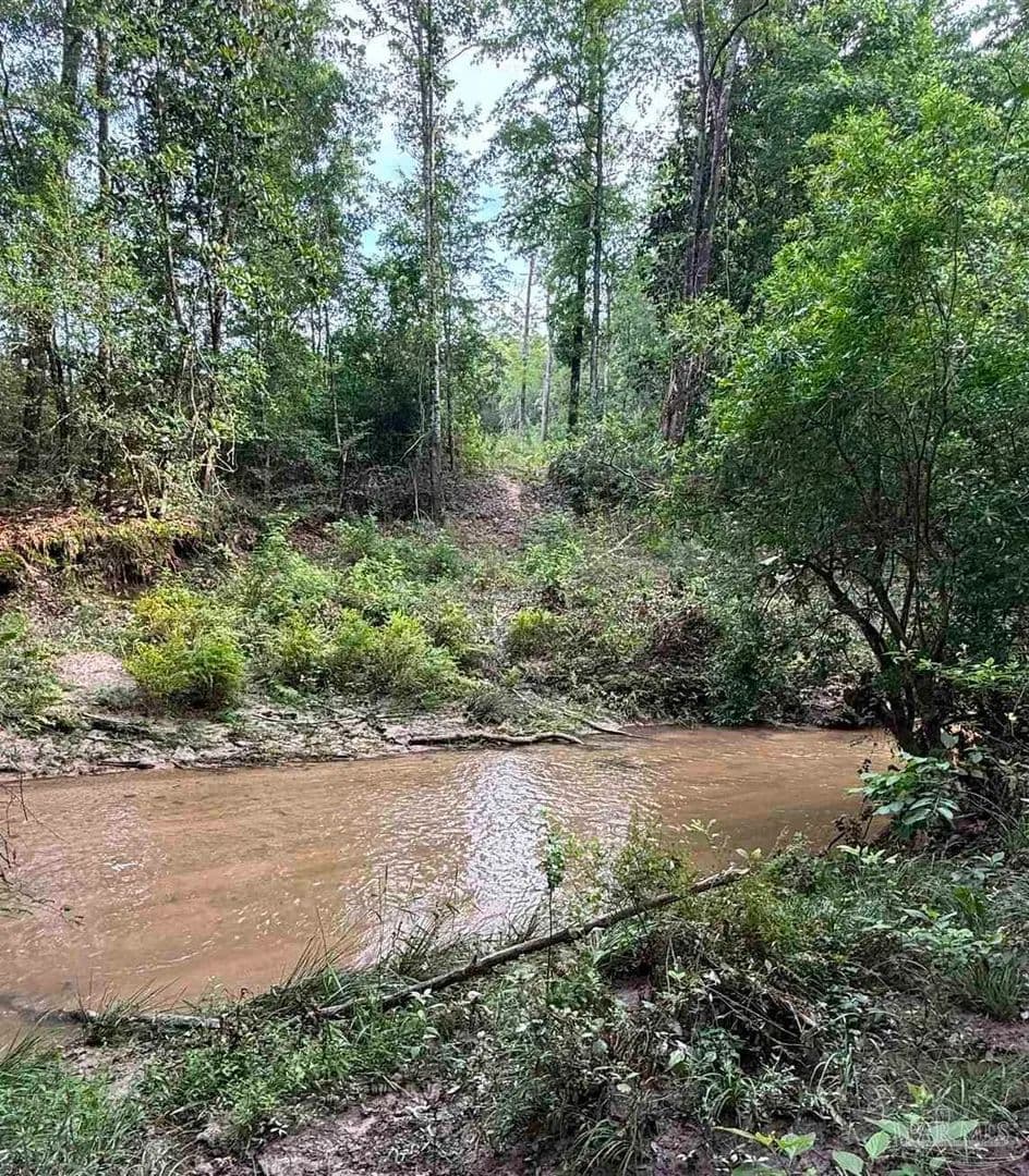 Property from 0100 Mineral Springs Rd - KW - Jay, Florida, 32565