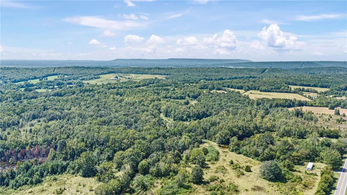 97 Acres of Land for Sale in Hattieville, Arkansas - Hattieville, Arkansas, 72063