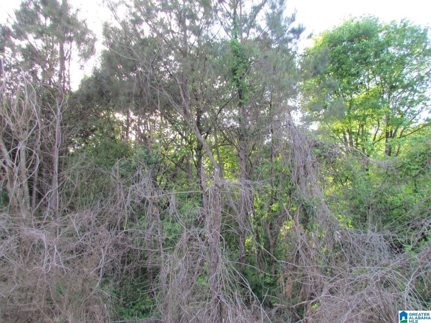 0.4 Acres of Land for Sale in ONEONTA, AL - Oneonta, Alabama, 35121