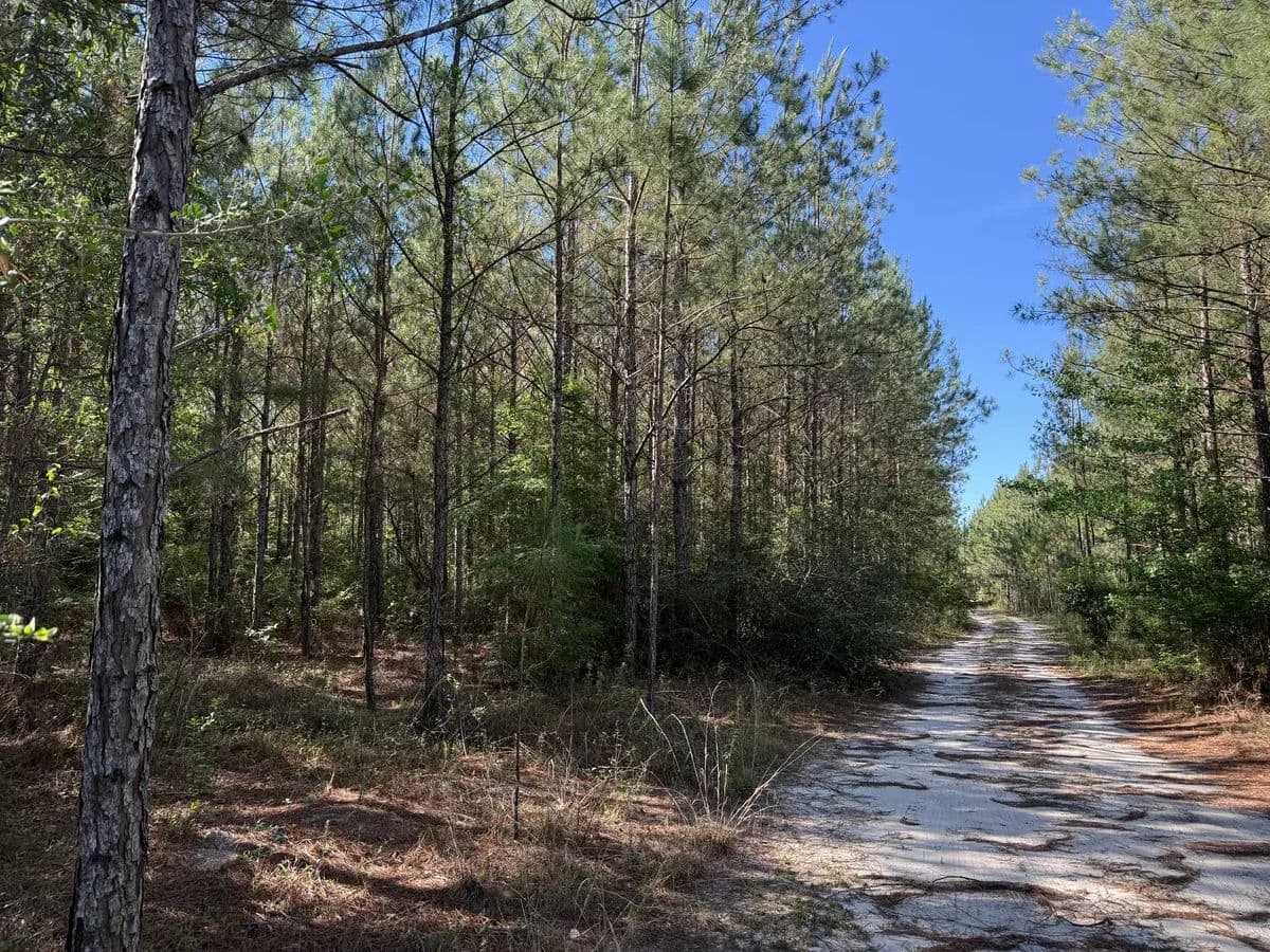 Jenkins Creek - land for sale