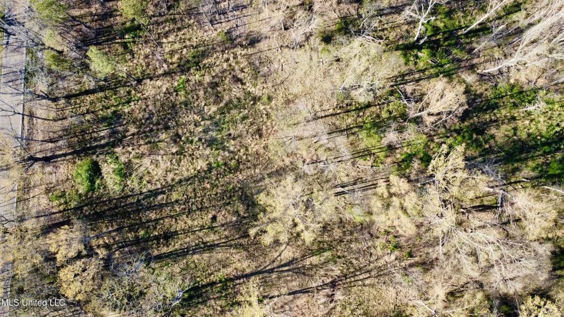 Land -Single Family Acreage in Jackson - Jackson, Mississippi, 39209
