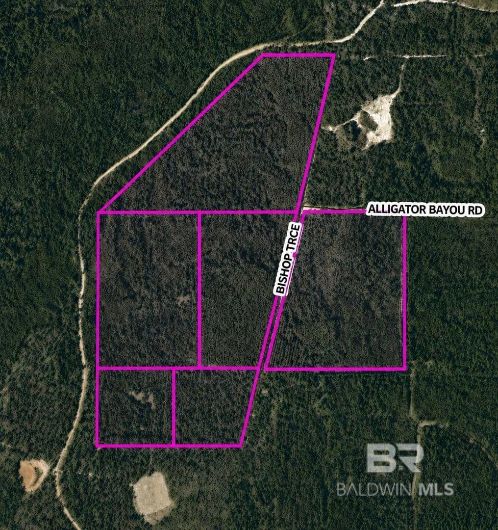 Property from 0 Bishop Trace - KW - Lillian, Alabama, 36549