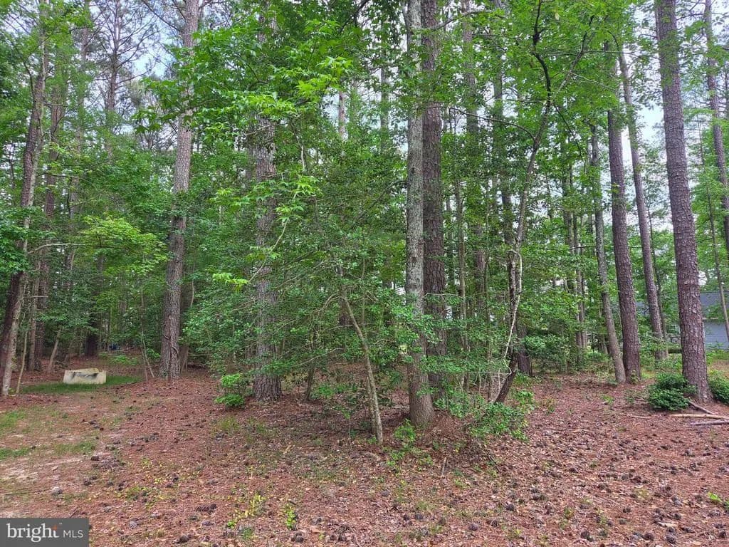 Property from Lot 272 MILITARY COURT - KW - Montross, Virginia, 22520