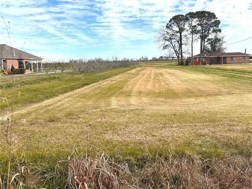 Vacant Land in Belle Chasse - Belle Chasse, Louisiana, 70037