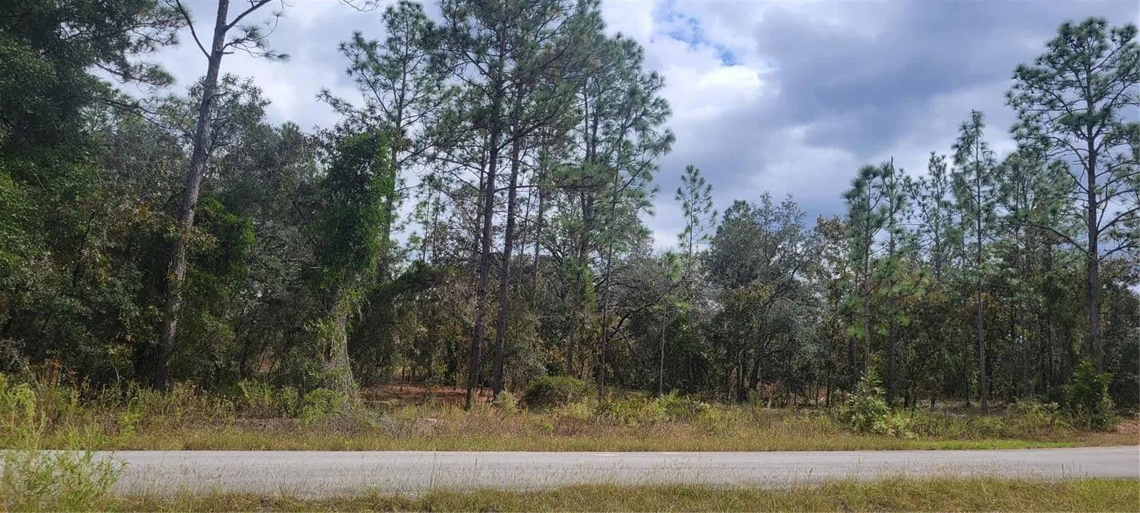 Lots & Land-Other in DUNNELLON - Dunnellon, Florida, 34431