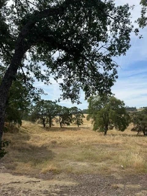 Property from 5134 Little John - KW - Copperopolis, California, 95228