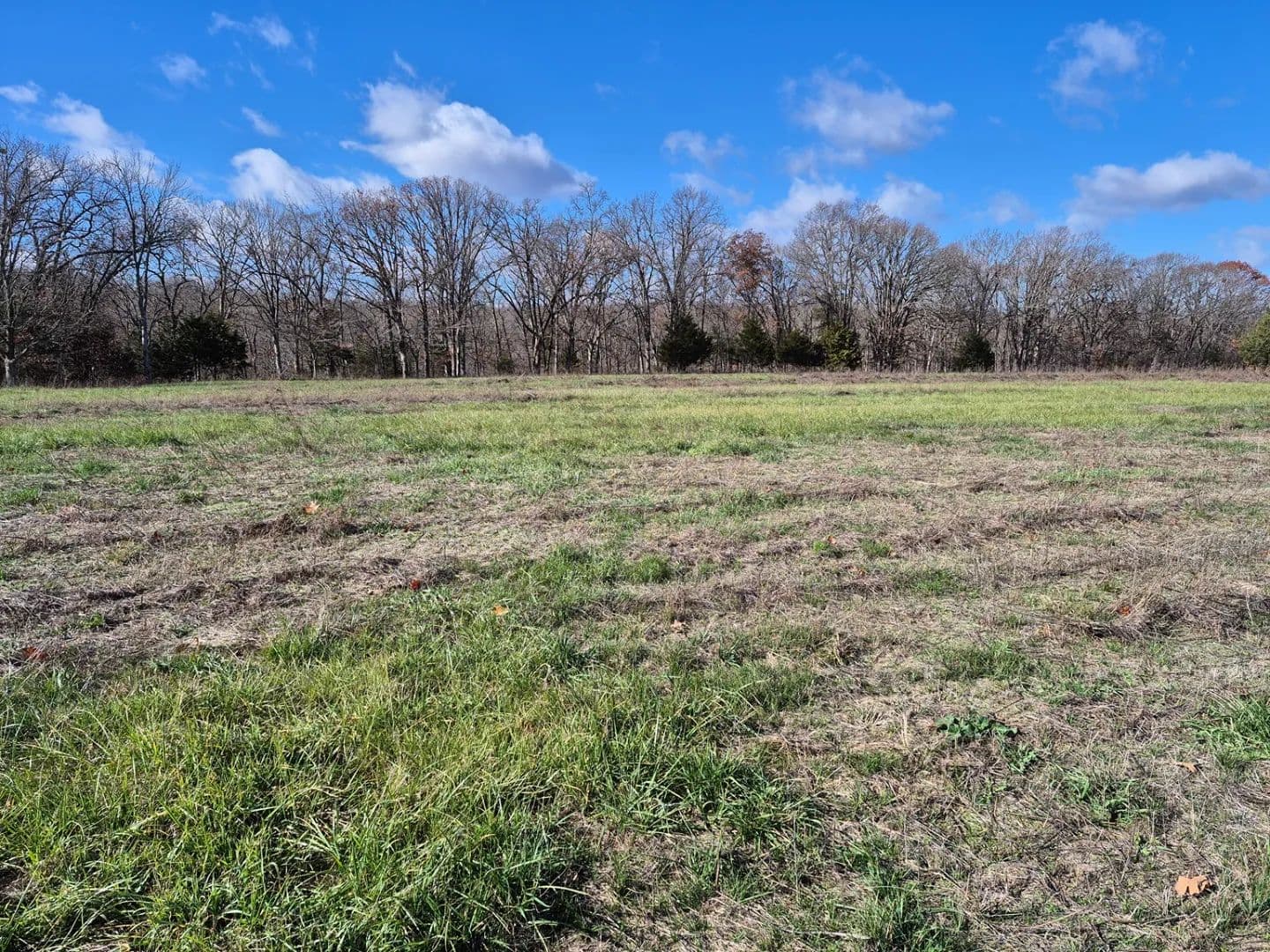 Versatile 15+ Acre Unrestricted Wooded Retreat – Montgomery County - New Florence, Missouri, 63363