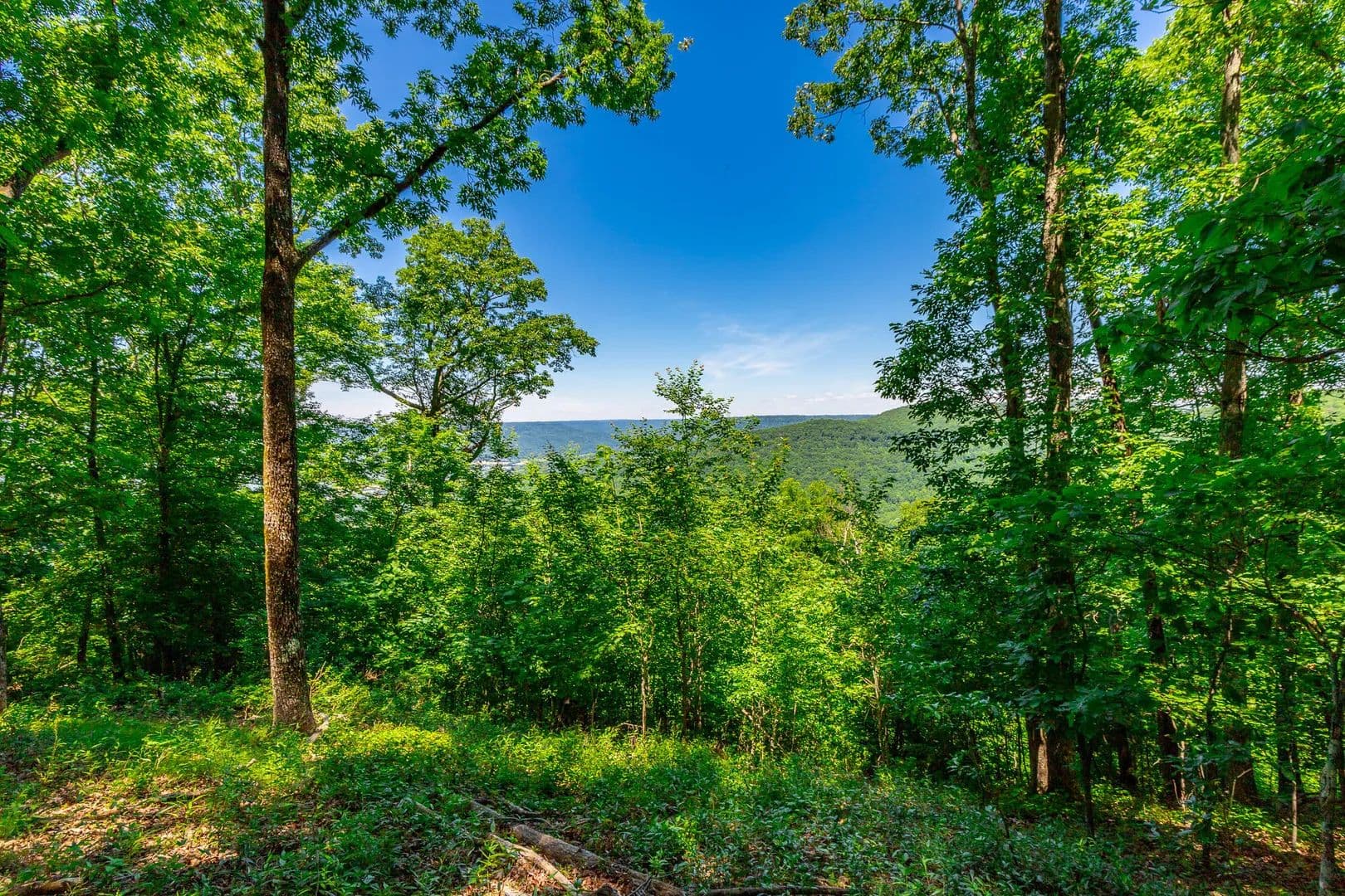 Property from 0 Volunteer Street ##362 - KW - Jasper, Tennessee, 37347