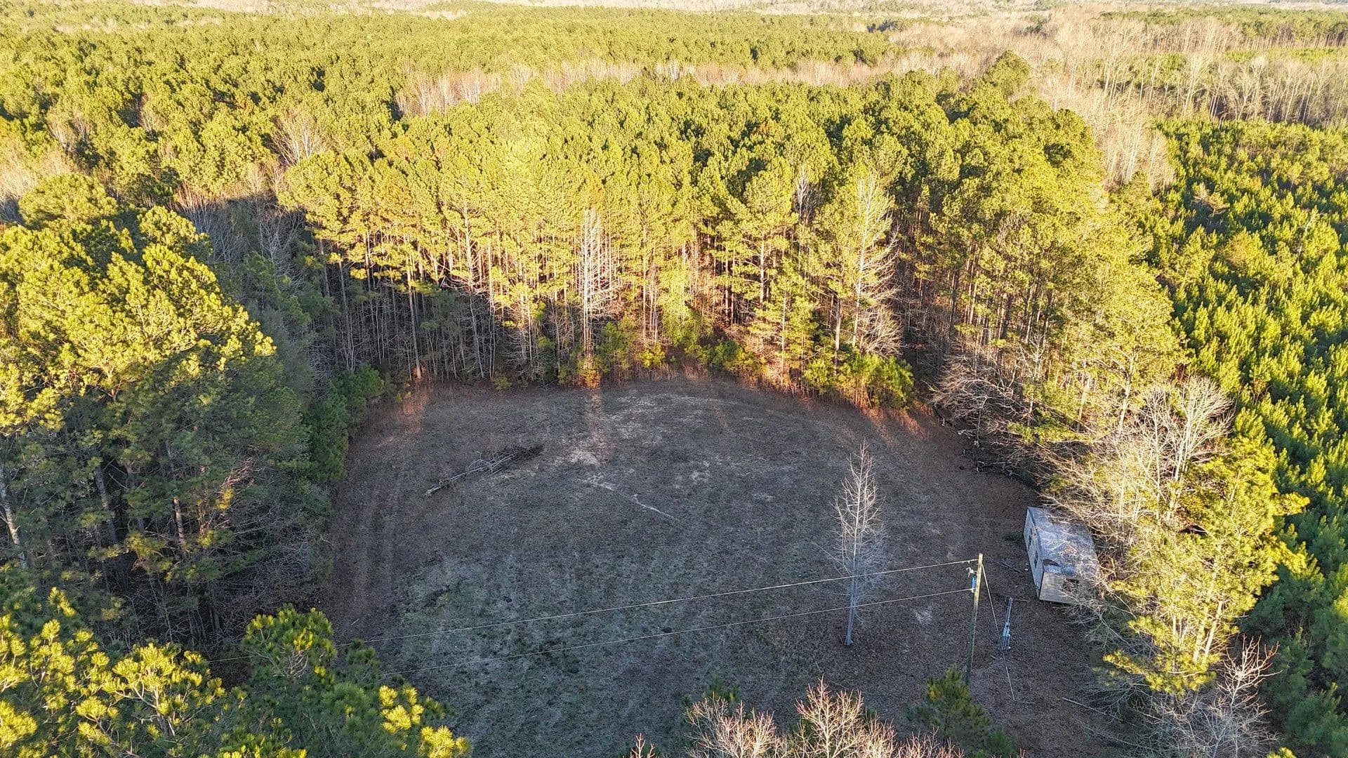 6 ± Acres in Waverly, AL – Ready-to-Build Homesite with Power & Driveway - land for sale
